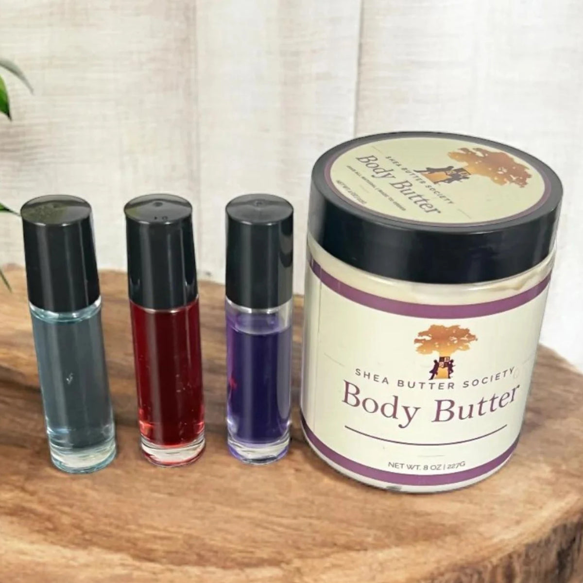 The Signature Collection